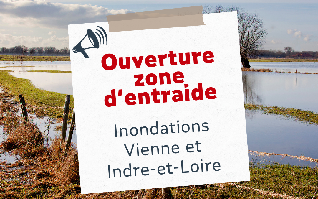 [Tempête Nelson] Ouverture d’une zone d’entraide en Côte d’Or, Indre-et-Loire, Vienne et Yonne🤝🍃