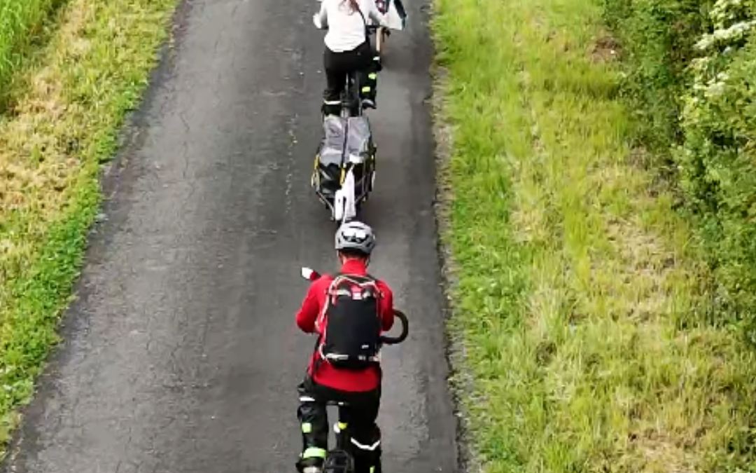 Rencontre avec Créateur de Forêt 🌳