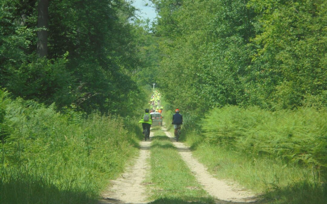 Des sorties vélo en forêt de Laigue
