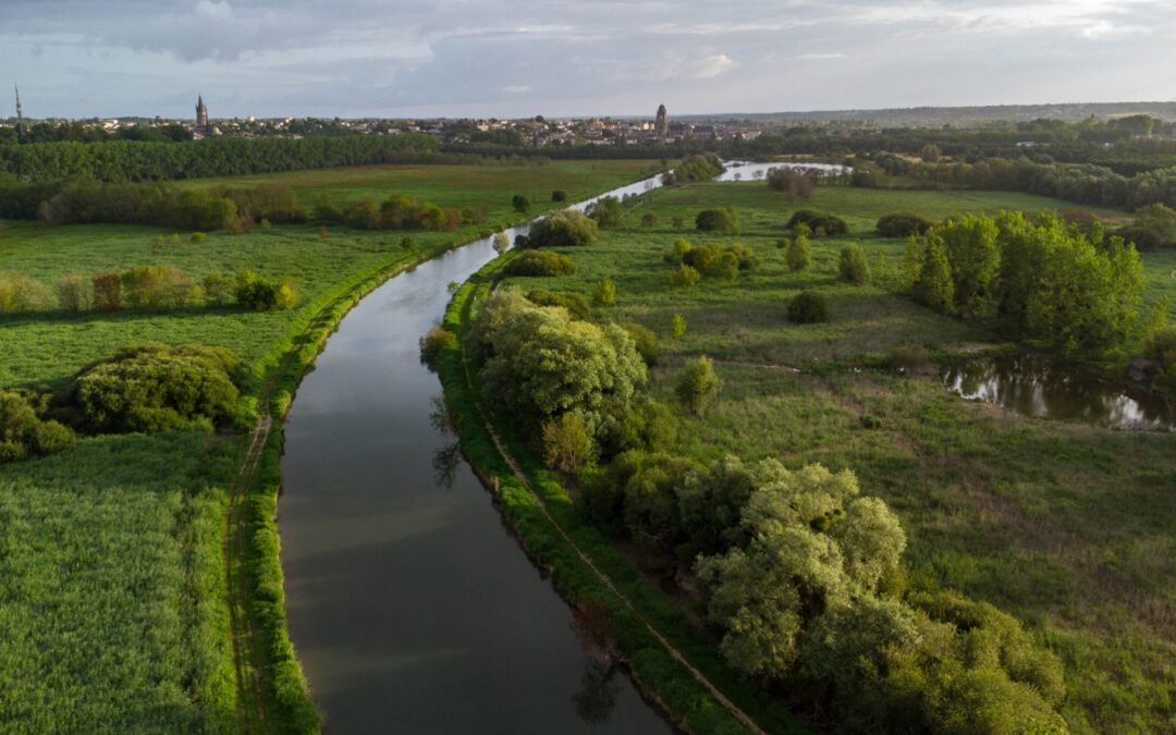 Envie de découvrir Saintes autrement ? Rejoignez-nous aux prairies de la Palu !