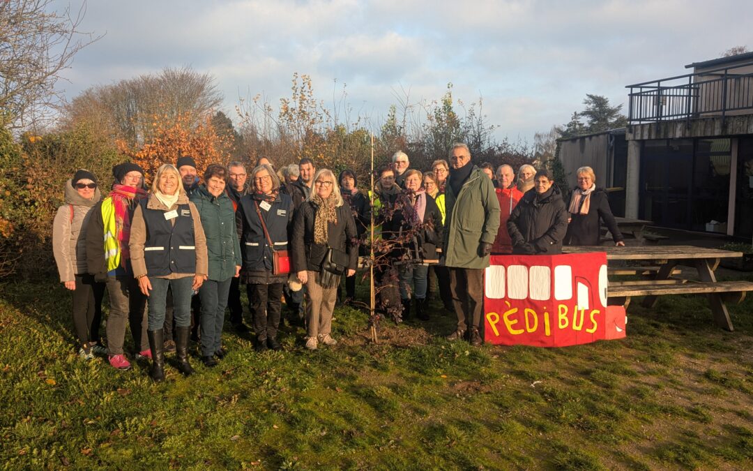 Le Pédibus sème ses racines à Vimy